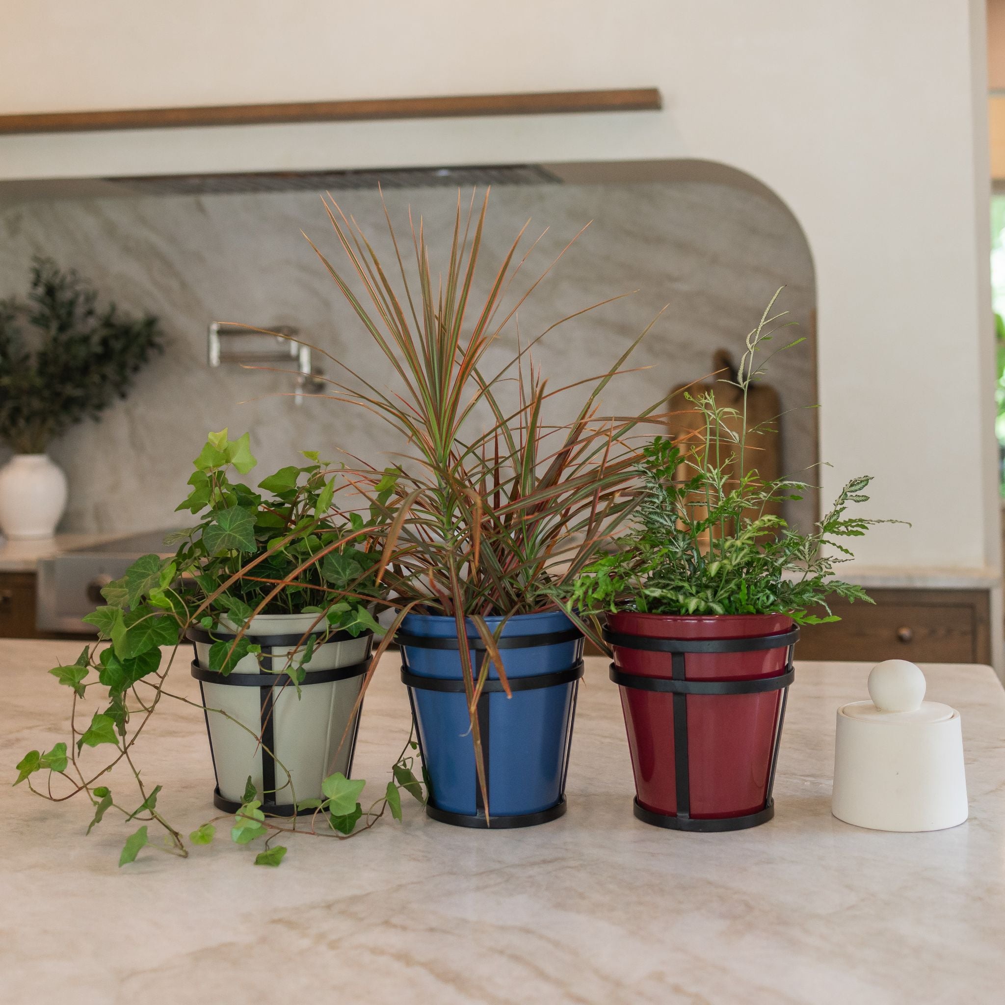 Three potted plants in colorful pots from Honey Bee Outdoor's powder-coated collection on a marble kitchen surface with a neutral background