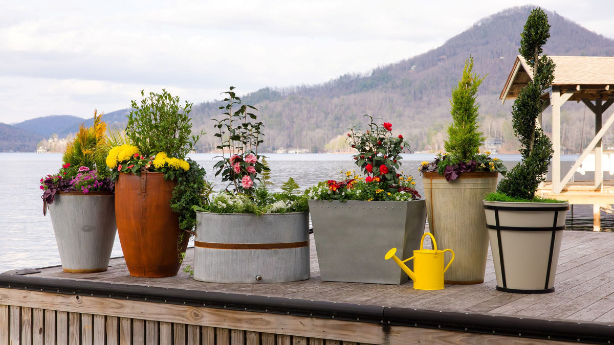 Decorative potted plants in large metal planters on a wooden deck with a scenic background of water and mountains.