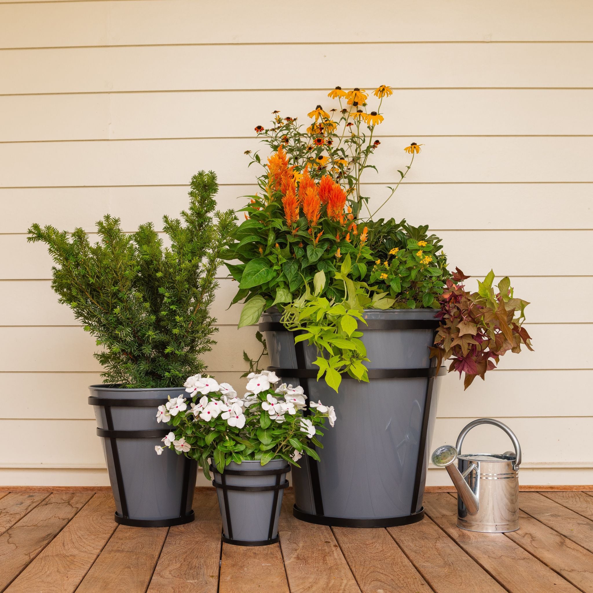 Collection of Honey Bee Outdoor potted metal planters on a wooden deck with a beige wall background