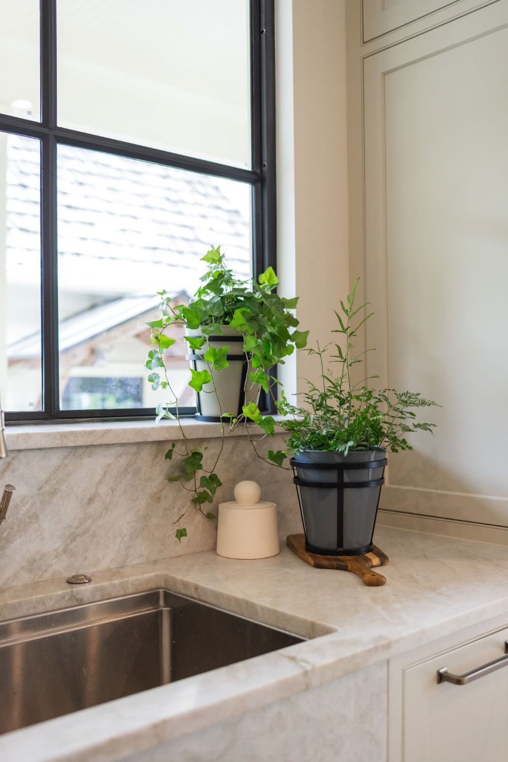 Kitchen counter with potted plants, a knife block, and a window in the background.