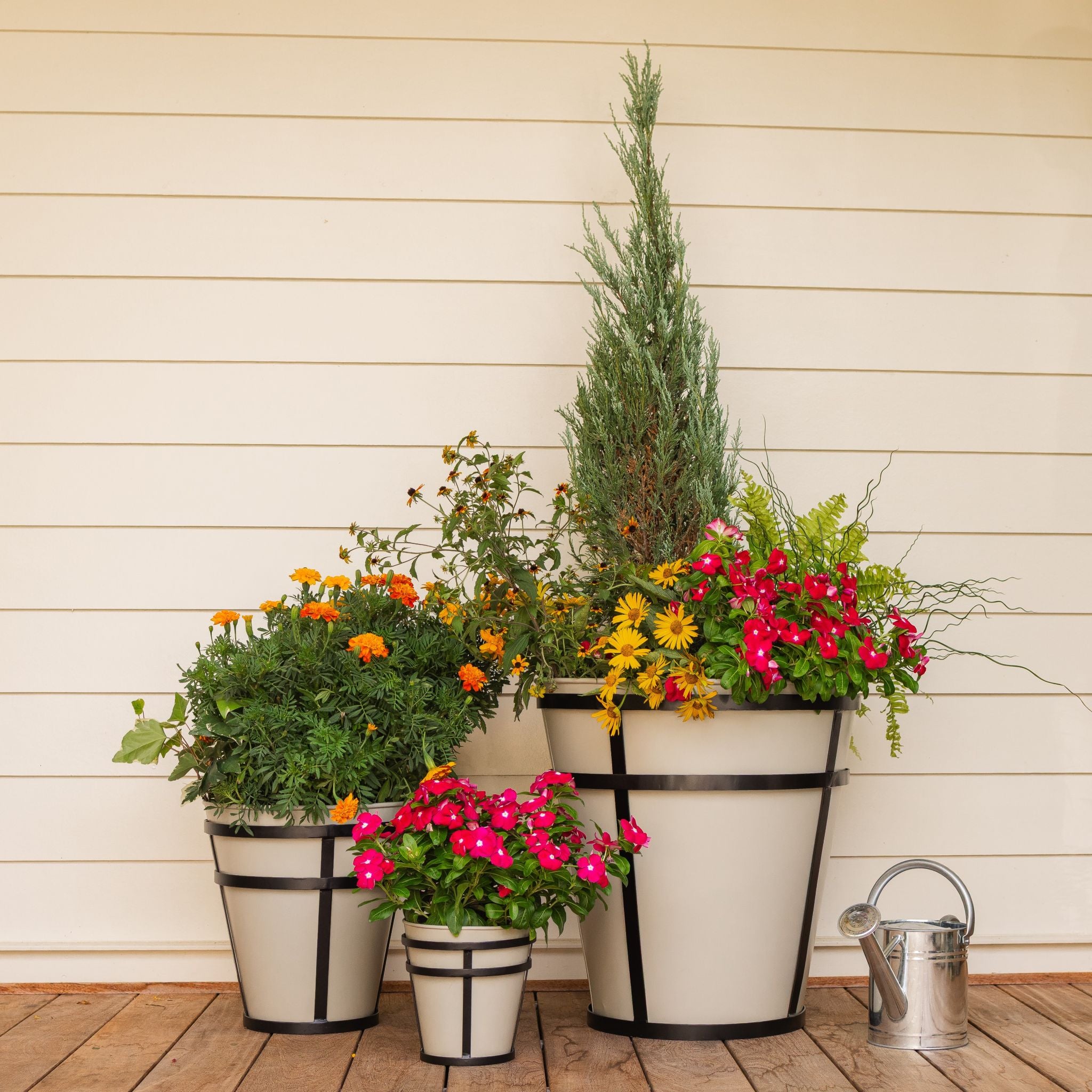 Decorative potted plants on a wooden deck with a light wooden wall background